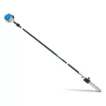 BUSHRANGER TPS261 TELESCOPIC POLESAW-4