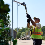 GREENWORKS Telescopic Pole Hedge Trimmer - action